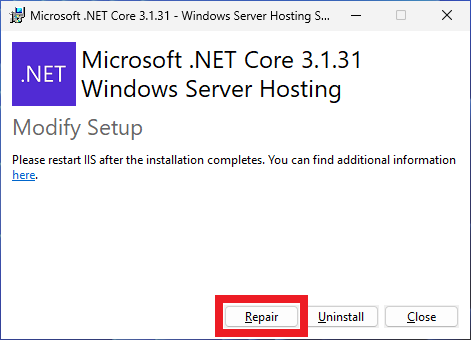 installation-server-repair-netcore