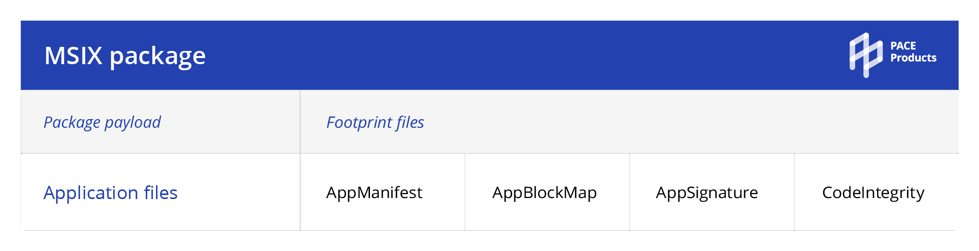 msix overview infographics